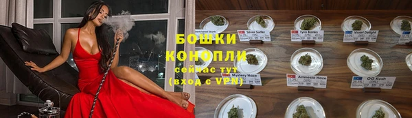 прущие грибы Строитель