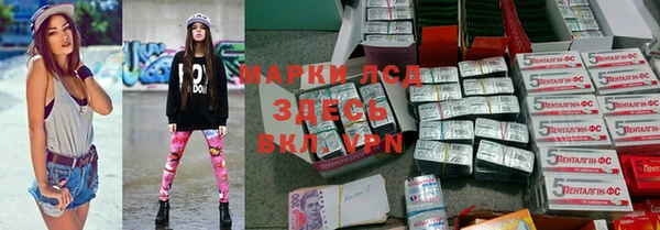 ПСИЛОЦИБИНОВЫЕ ГРИБЫ Струнино