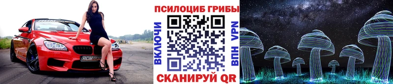 Купить  Тихорецк  Псилоцибиновые грибы прущие грибы 